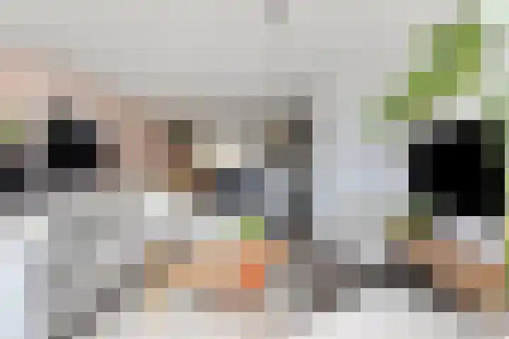 Dagpauwooglaan 5 Veenendaal thumbnail 8