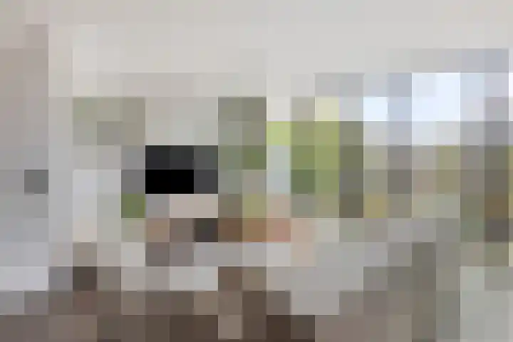 Dagpauwooglaan 5 Veenendaal thumbnail 9