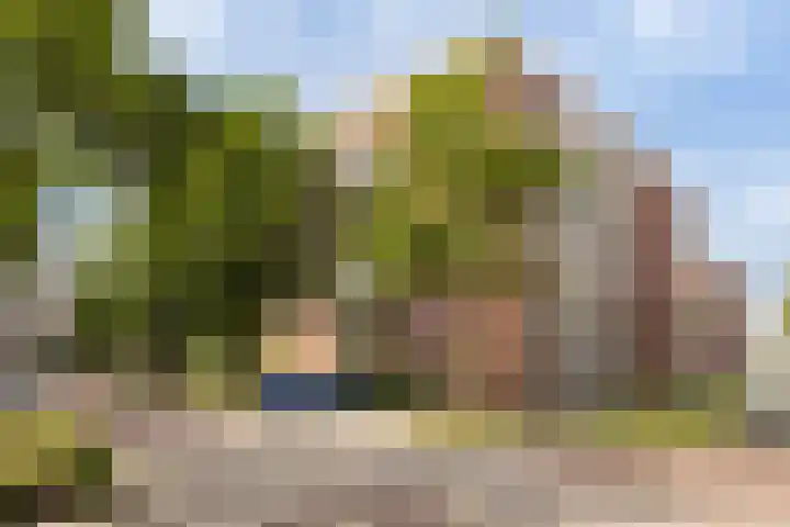 Dagpauwooglaan 56 Veenendaal thumbnail 45