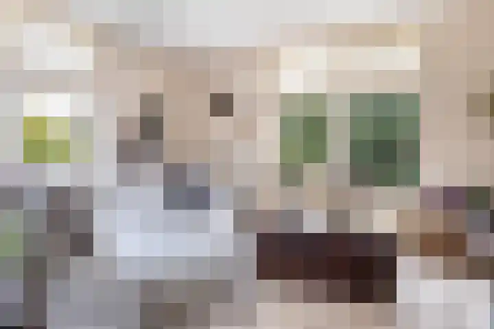 Dagpauwooglaan 56 Veenendaal thumbnail 5