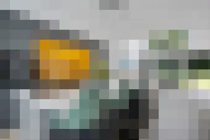 Dagpauwooglaan 76 Den Haag thumbnail 13