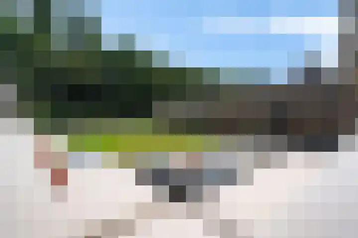 Dagpauwooglaan 76 Den Haag thumbnail 16
