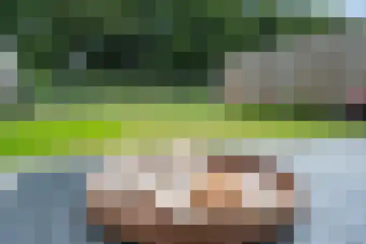 Dagpauwooglaan 76 Den Haag thumbnail 17