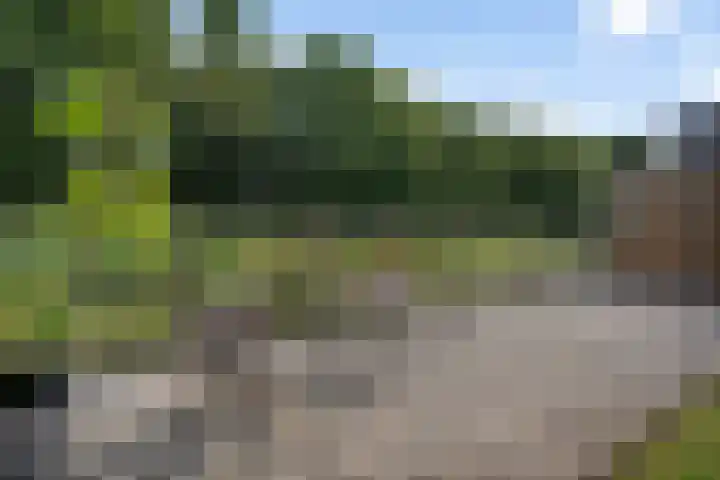 Dagpauwooglaan 76 Den Haag thumbnail 18