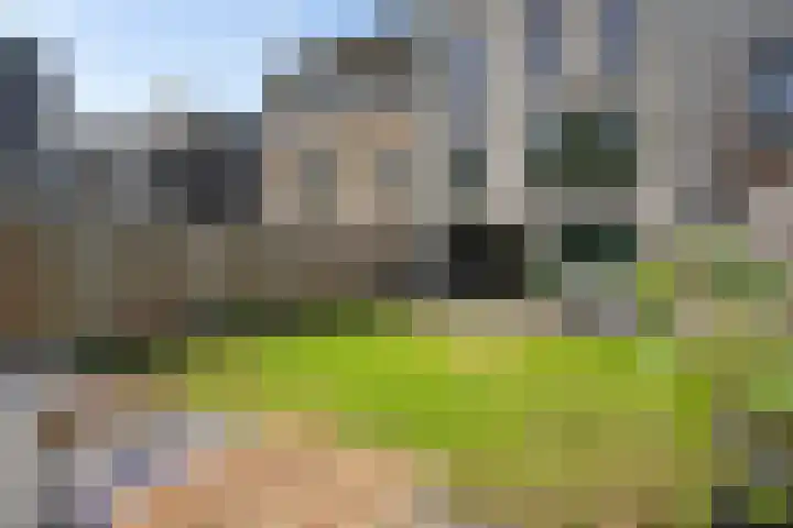 Dagpauwooglaan 76 Den Haag thumbnail 19
