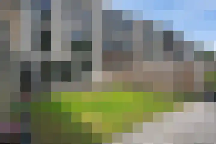 Dagpauwooglaan 76 Den Haag thumbnail 20