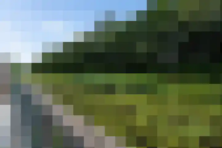 Dagpauwooglaan 76 Den Haag thumbnail 22