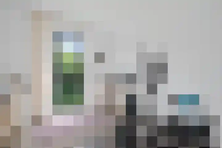Dagpauwooglaan 76 Den Haag thumbnail 43