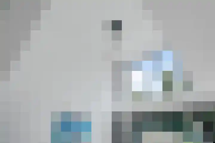 Dagpauwooglaan 76 Den Haag thumbnail 7