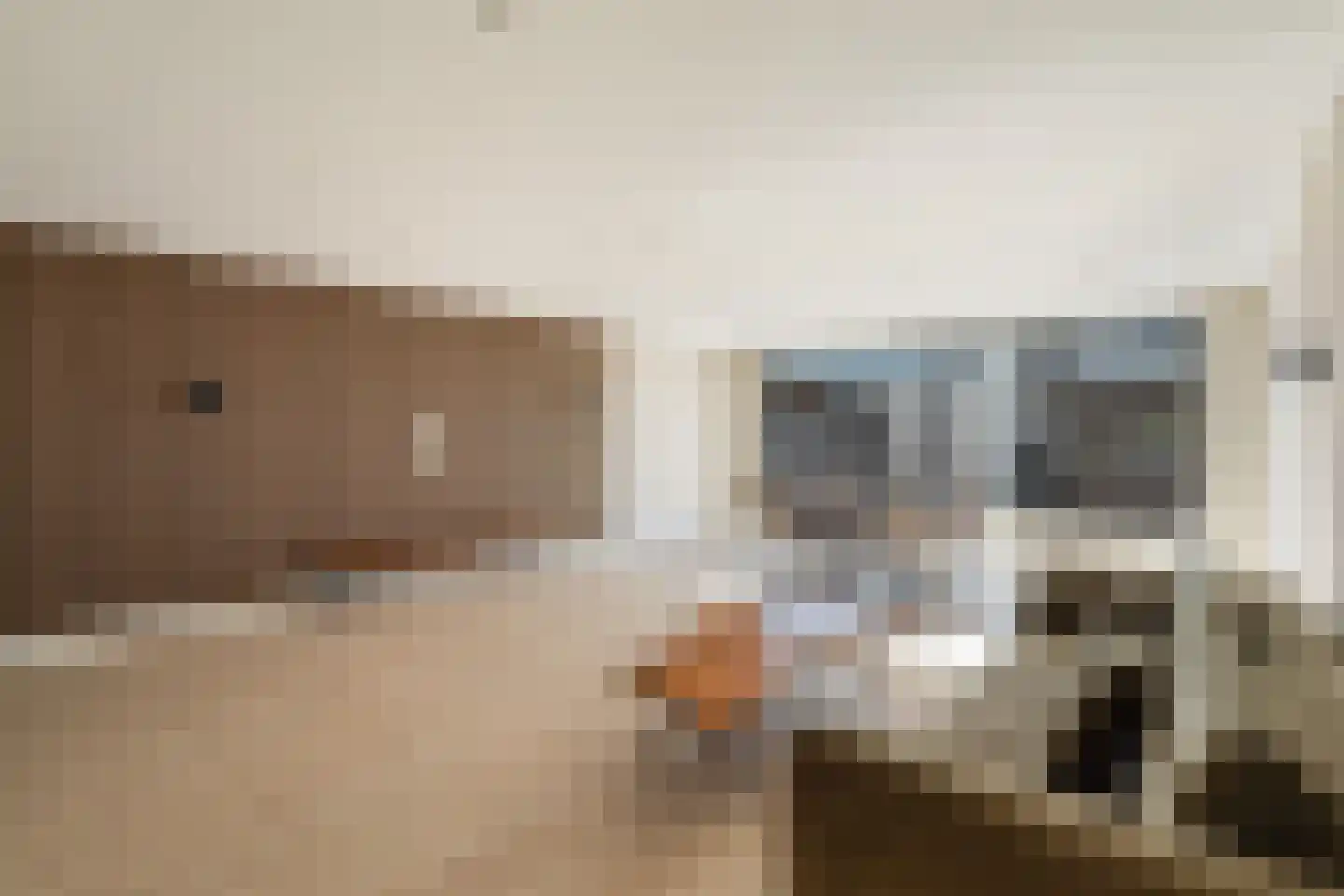 Dagpauwooglaan 79 Den Haag thumbnail 16