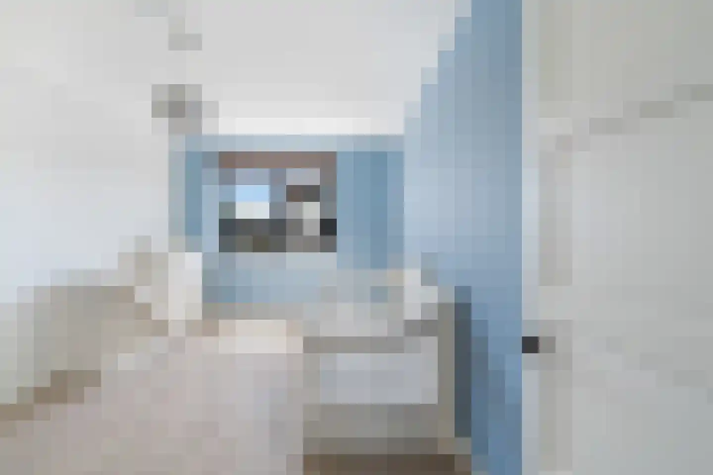 Dagpauwooglaan 79 Den Haag thumbnail 36