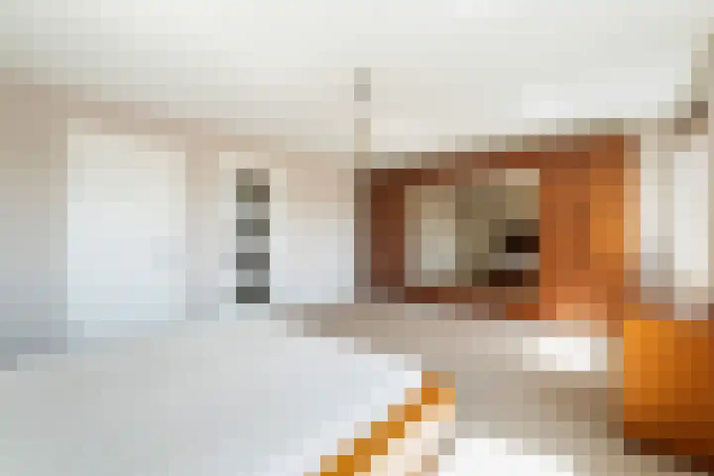 Dagpauwooglaan 79 Den Haag thumbnail 52