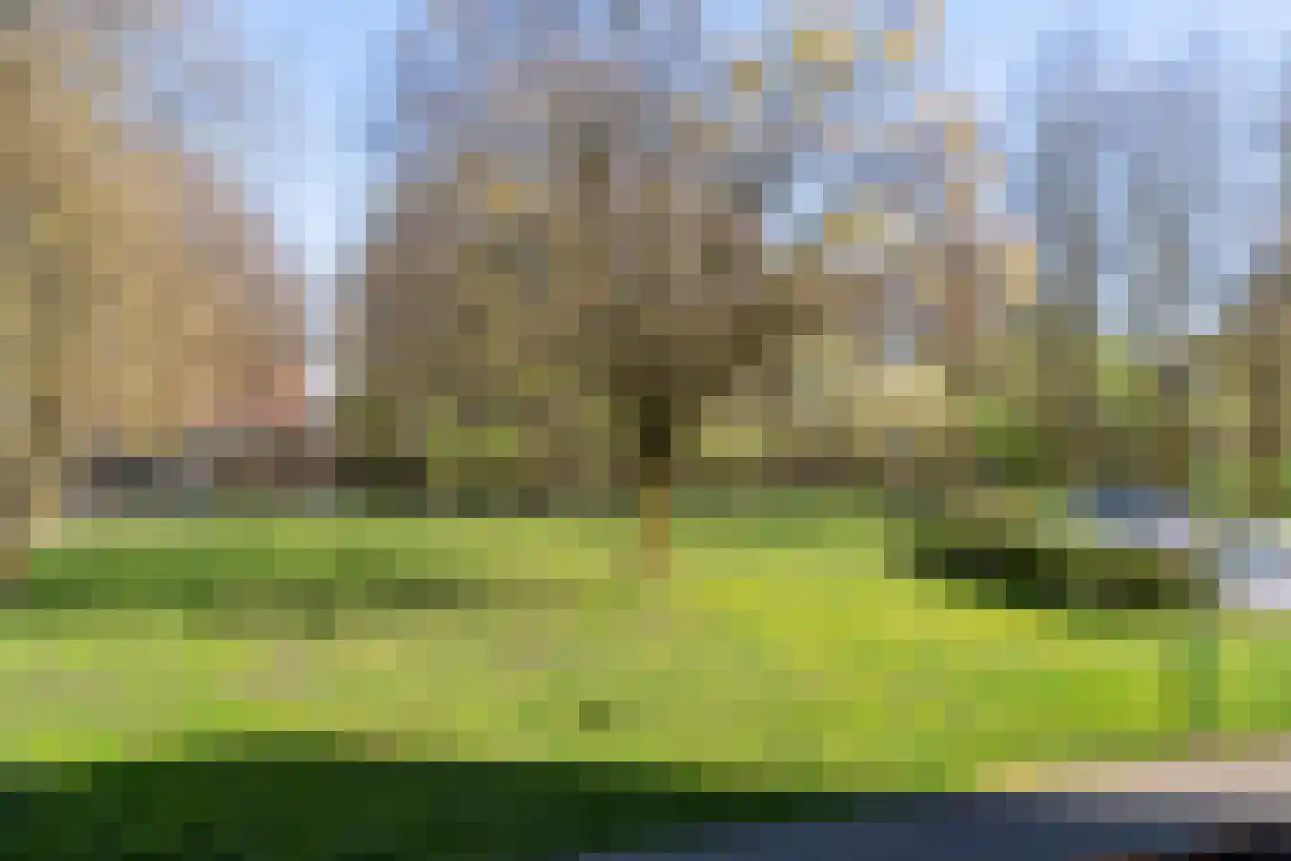 Dagpauwooglaan 88 Veenendaal thumbnail 11