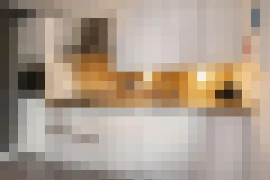 Dagpauwooglaan 92 Veenendaal thumbnail 6