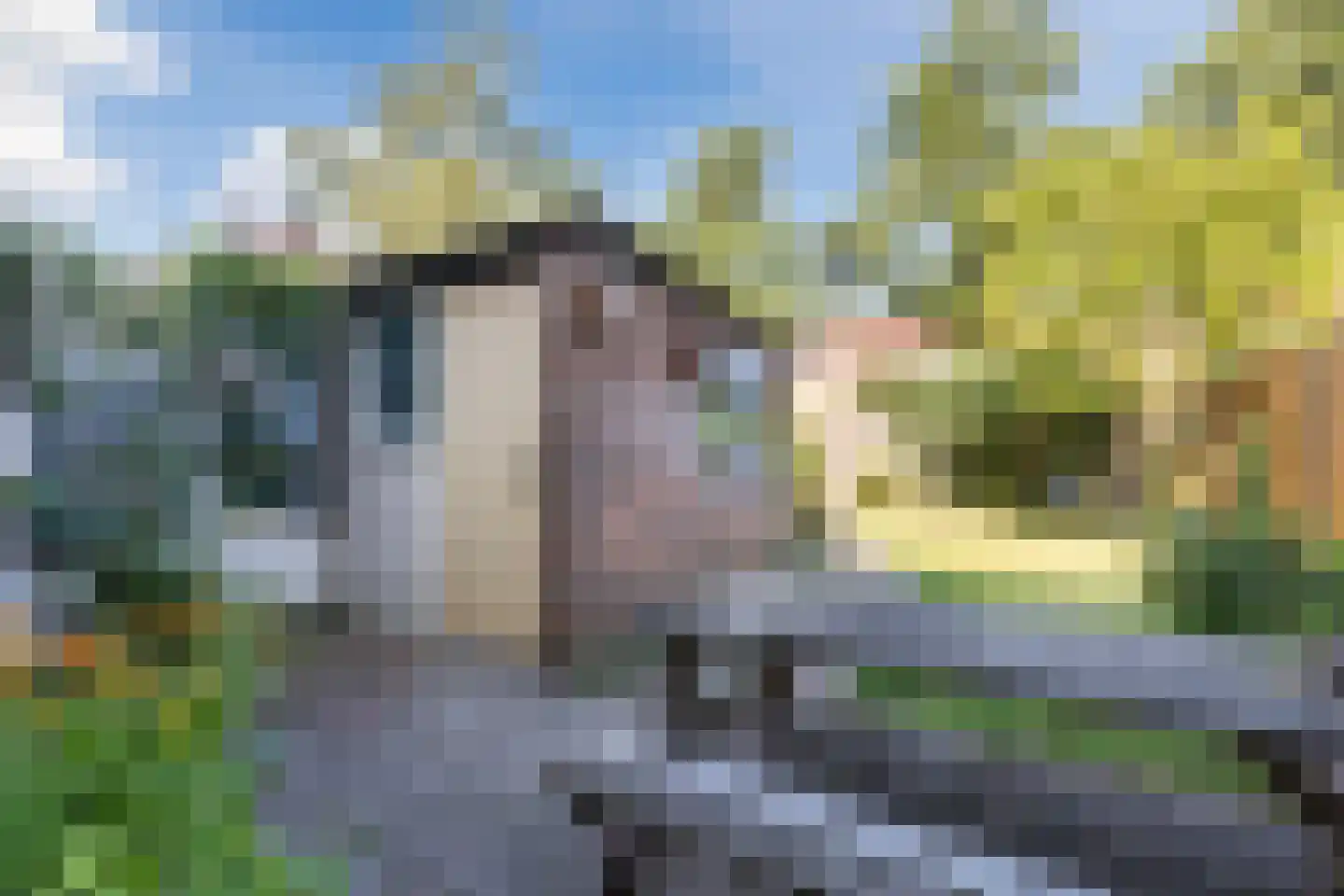 Dagpauwoogstraat 10 Nijmegen thumbnail 12