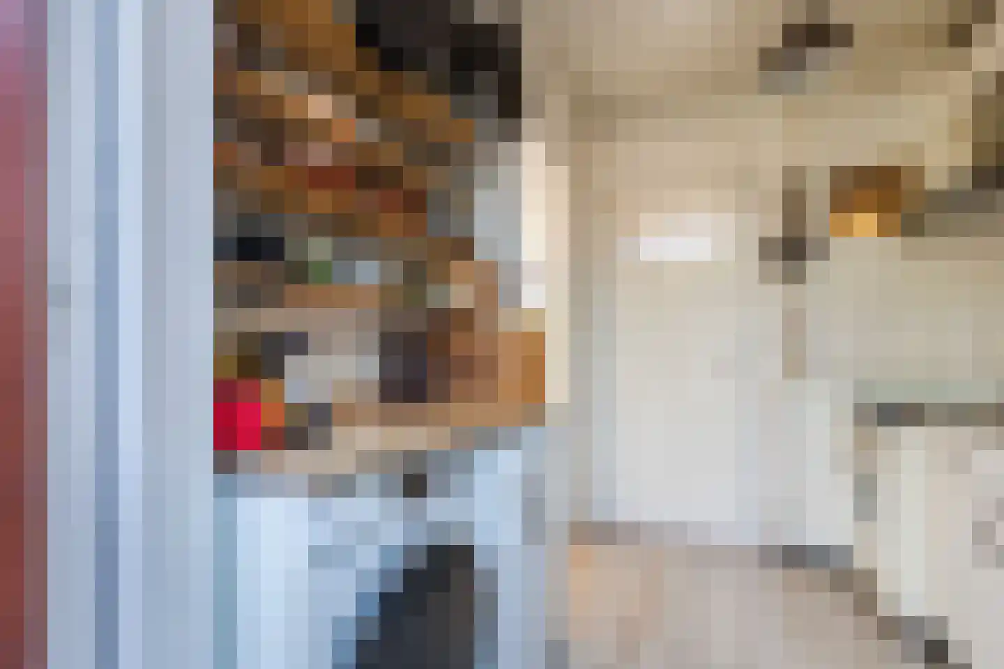 Dagpauwoogstraat 10 Nijmegen thumbnail 17