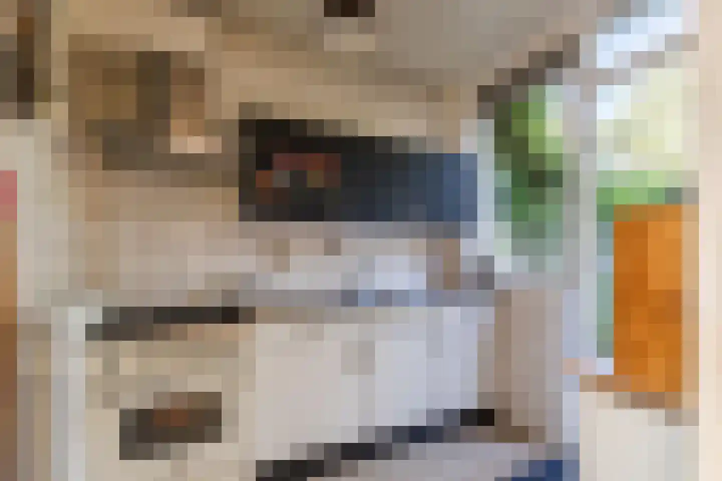 Dagpauwoogstraat 10 Nijmegen thumbnail 9