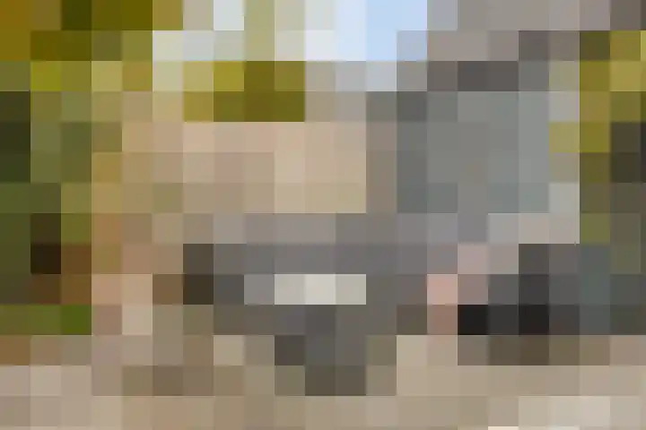 Dagpauwoogstraat 14 Aalsmeer thumbnail 11