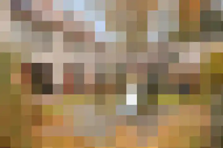 Dagpauwoogstraat 14 Aalsmeer thumbnail 32