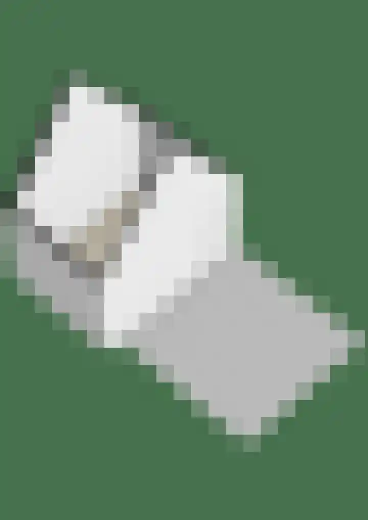 Dagpauwoogstraat 14 Aalsmeer thumbnail 36