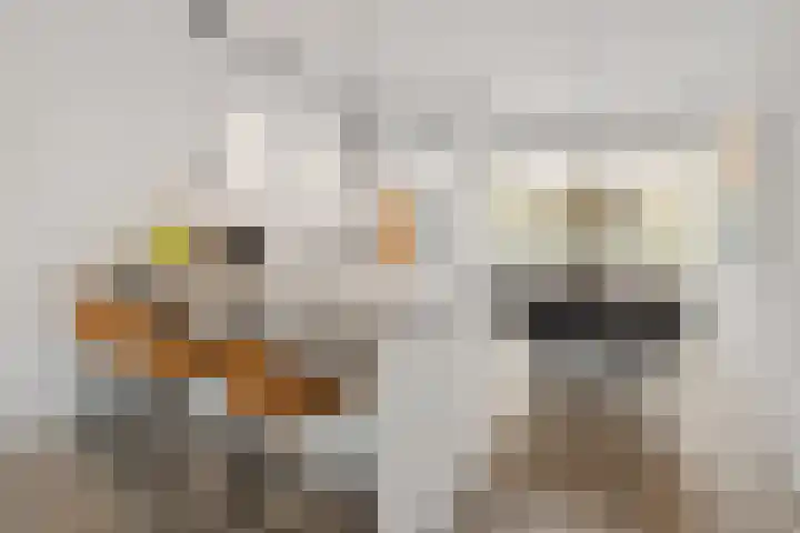 Dagpauwoogstraat 14 Aalsmeer thumbnail 4