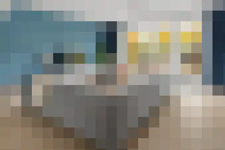 Dagpauwoogstraat 14 Aalsmeer thumbnail 7
