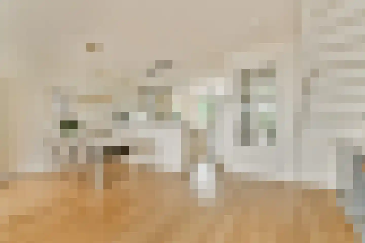 Dagpauwoogstraat 18 Aalsmeer thumbnail 10