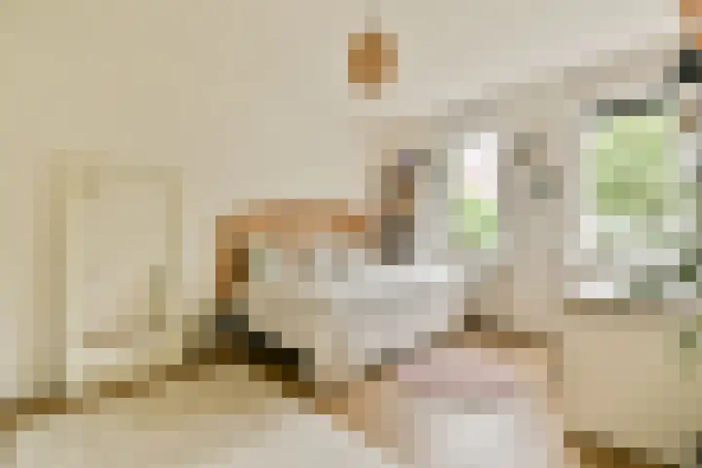 Dagpauwoogstraat 18 Aalsmeer thumbnail 23