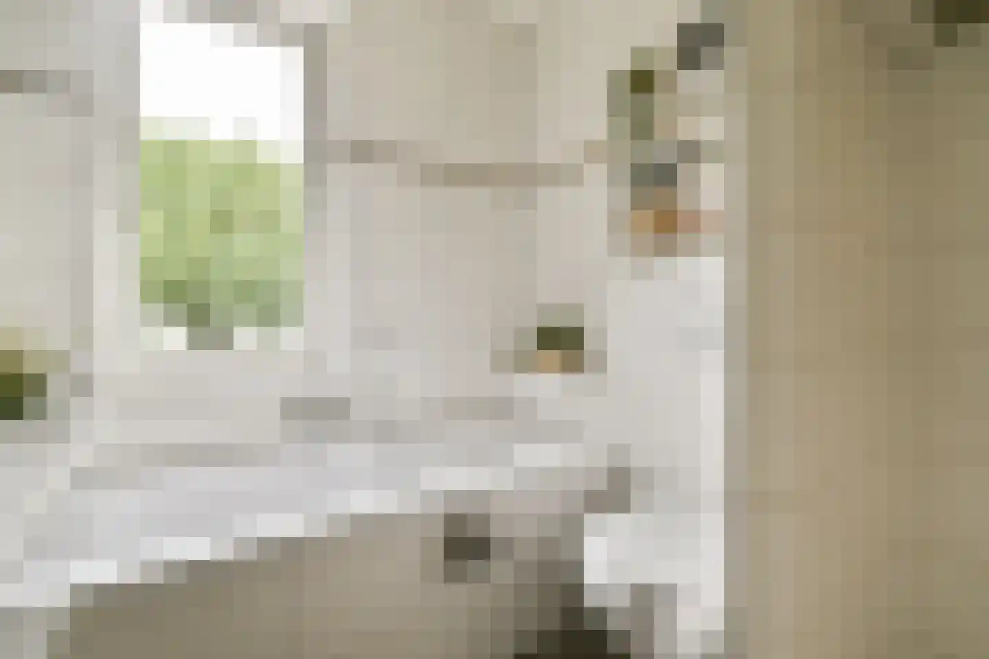 Dagpauwoogstraat 18 Aalsmeer thumbnail 25