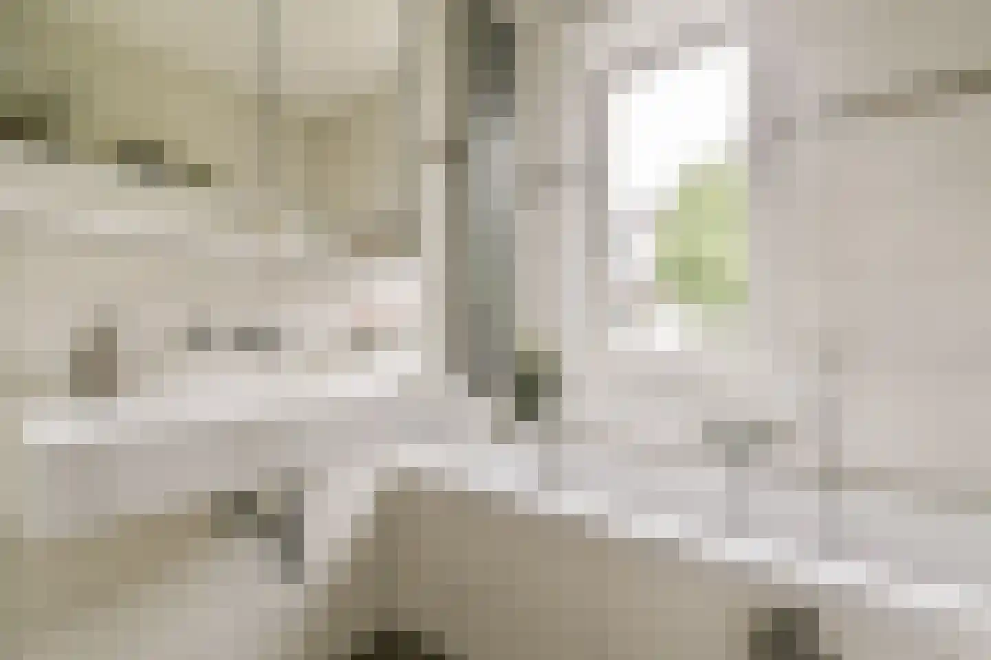 Dagpauwoogstraat 18 Aalsmeer thumbnail 27