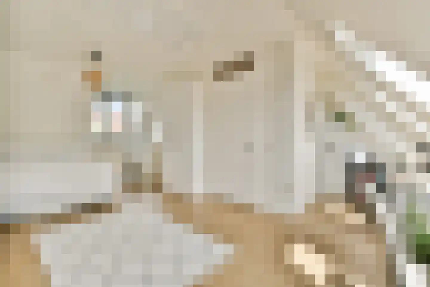 Dagpauwoogstraat 18 Aalsmeer thumbnail 29