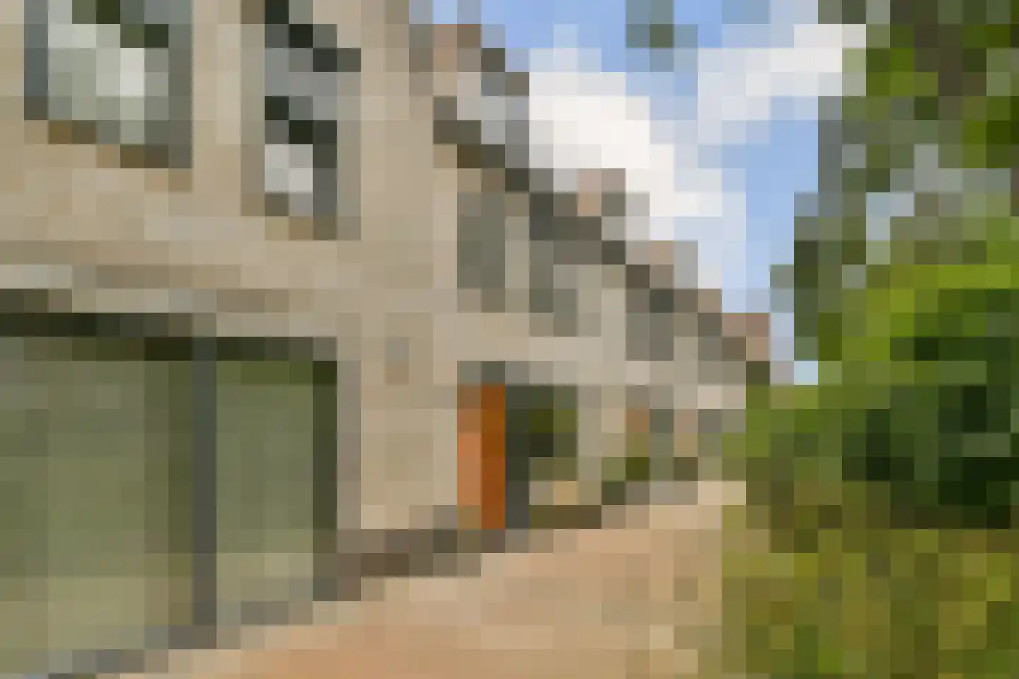 Dagpauwoogstraat 18 Aalsmeer thumbnail 4