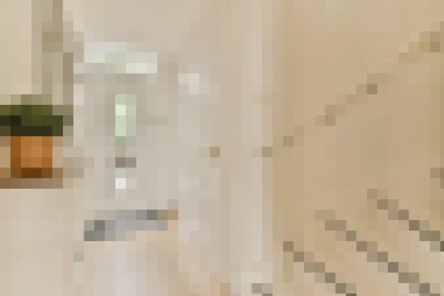 Dagpauwoogstraat 18 Aalsmeer thumbnail 6