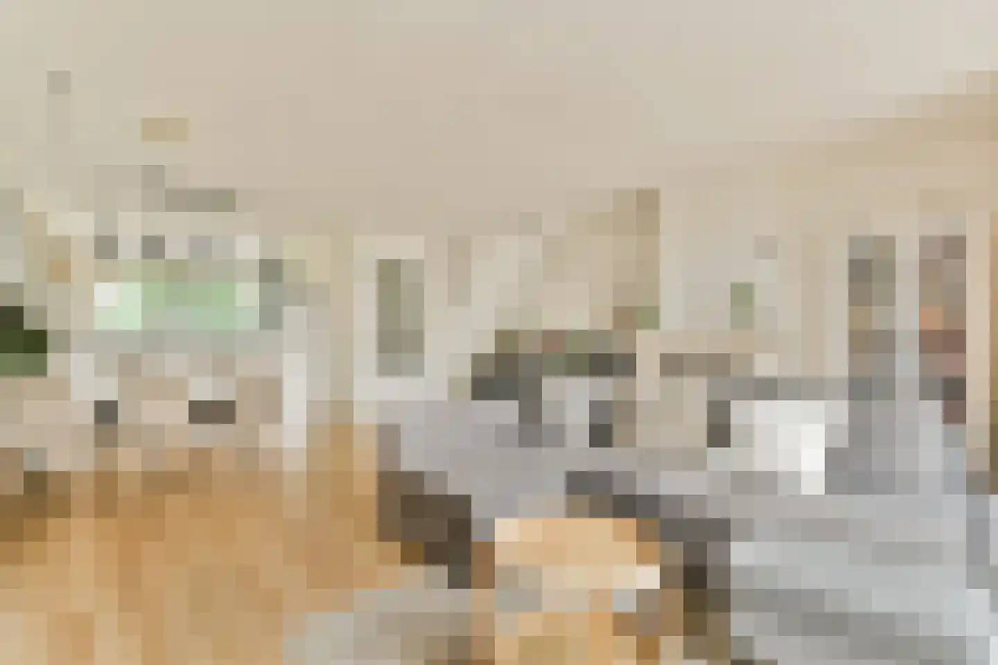 Dagpauwoogstraat 18 Aalsmeer thumbnail 8