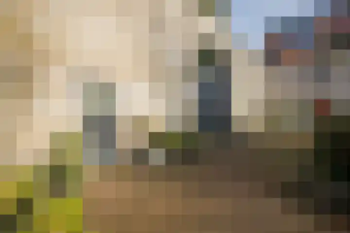 Dagpauwoogstraat 25 Aalsmeer thumbnail 50