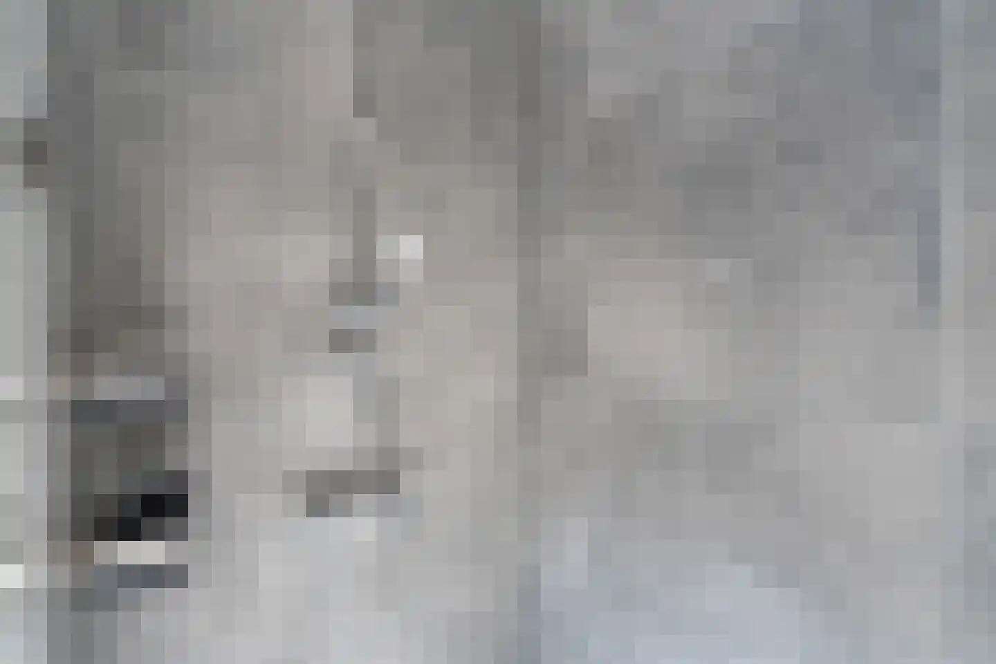 Dagpauwoogstraat 28 Rijswijk thumbnail 28