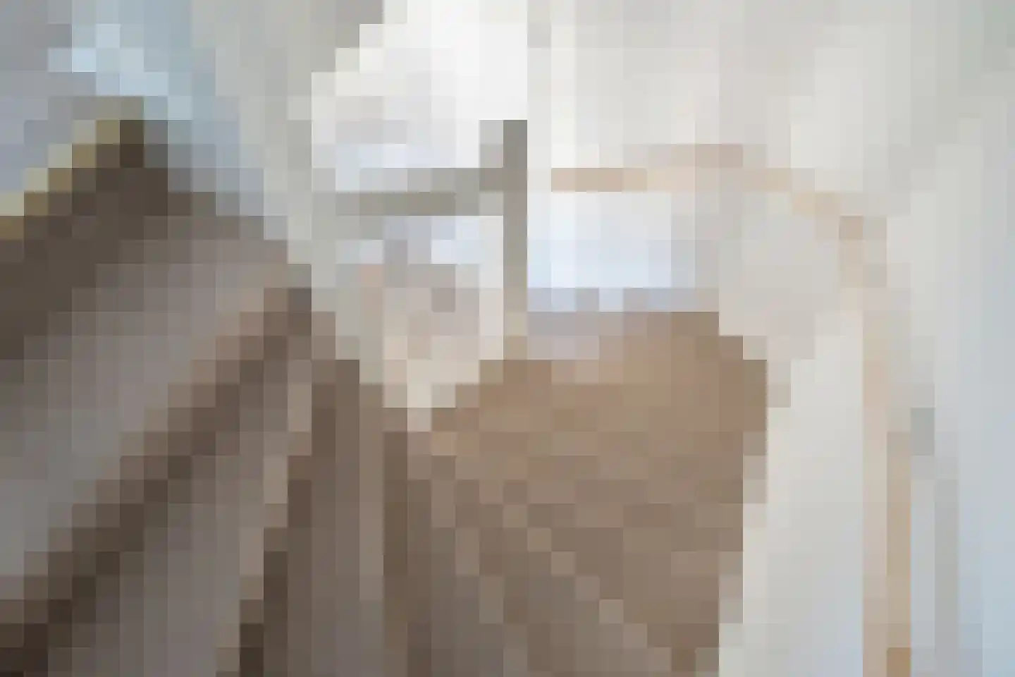 Dagpauwoogstraat 28 Rijswijk thumbnail 30
