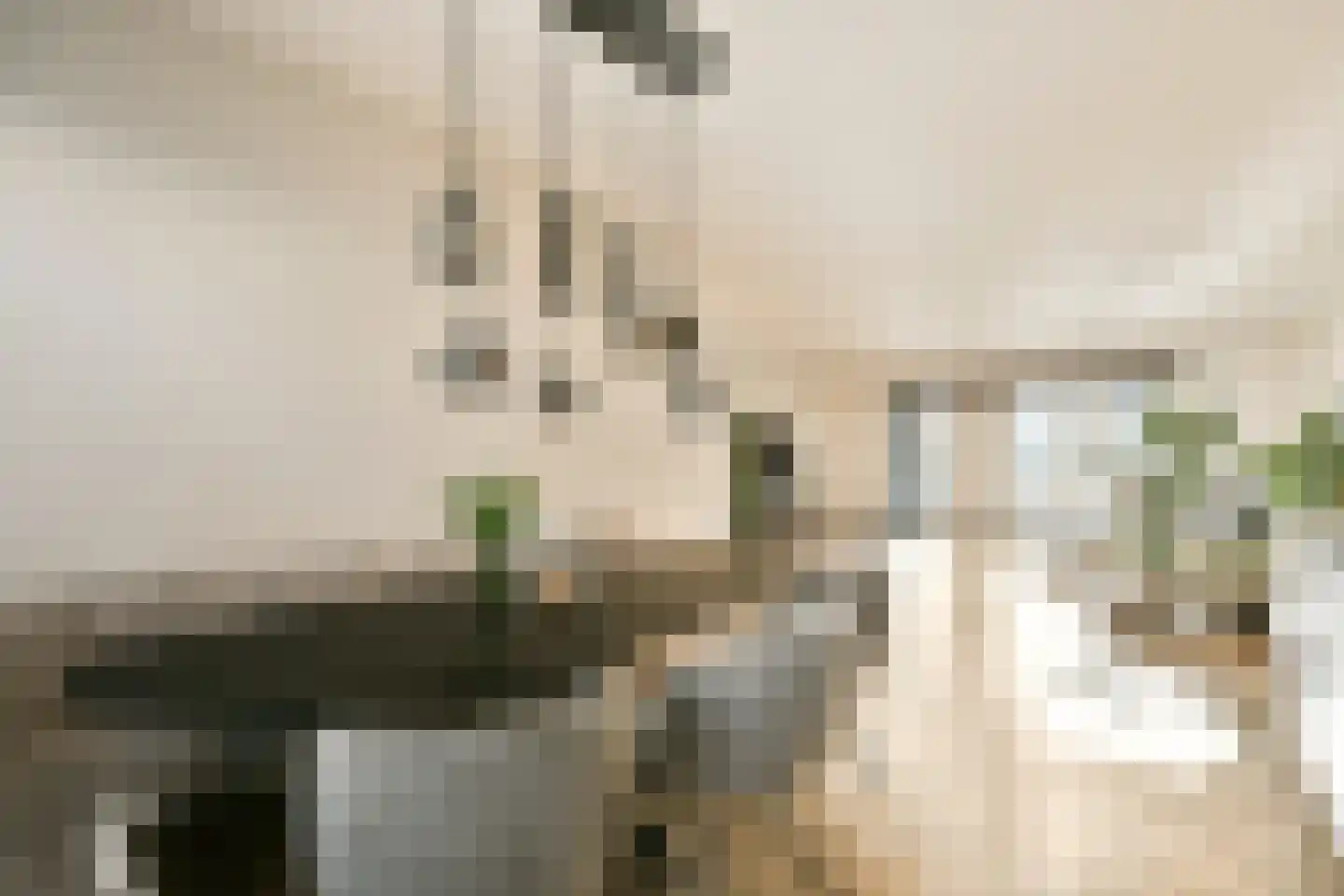 Dagpauwoogstraat 5 Aalsmeer thumbnail 11