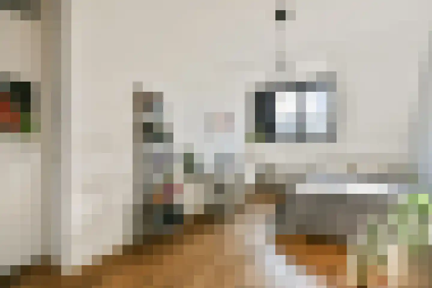 Dagpauwoogstraat 5 Aalsmeer thumbnail 20