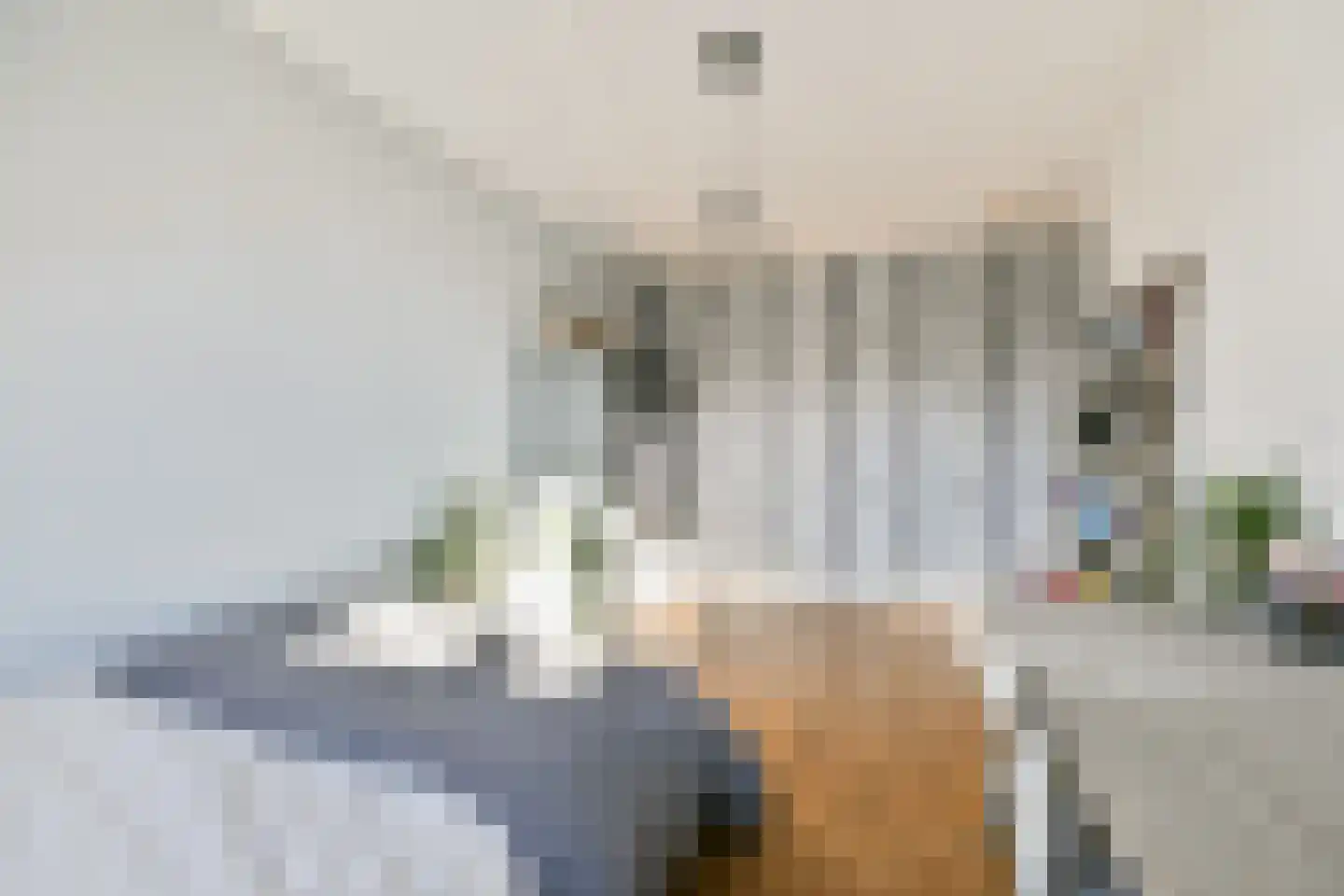 Dagpauwoogstraat 5 Aalsmeer thumbnail 21