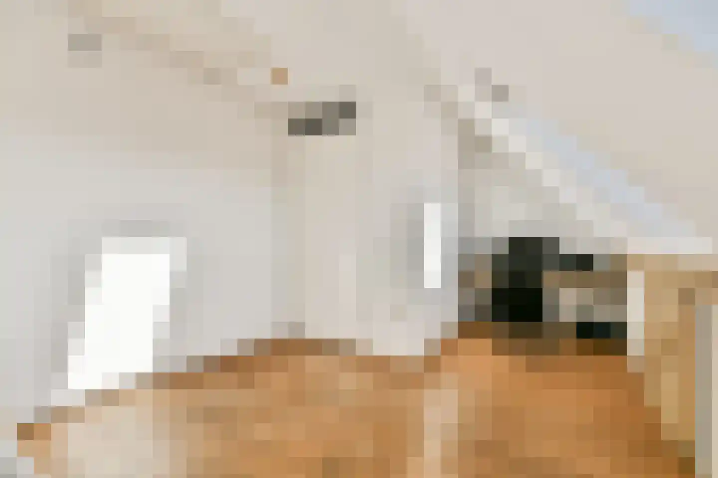Dagpauwoogstraat 5 Aalsmeer thumbnail 24