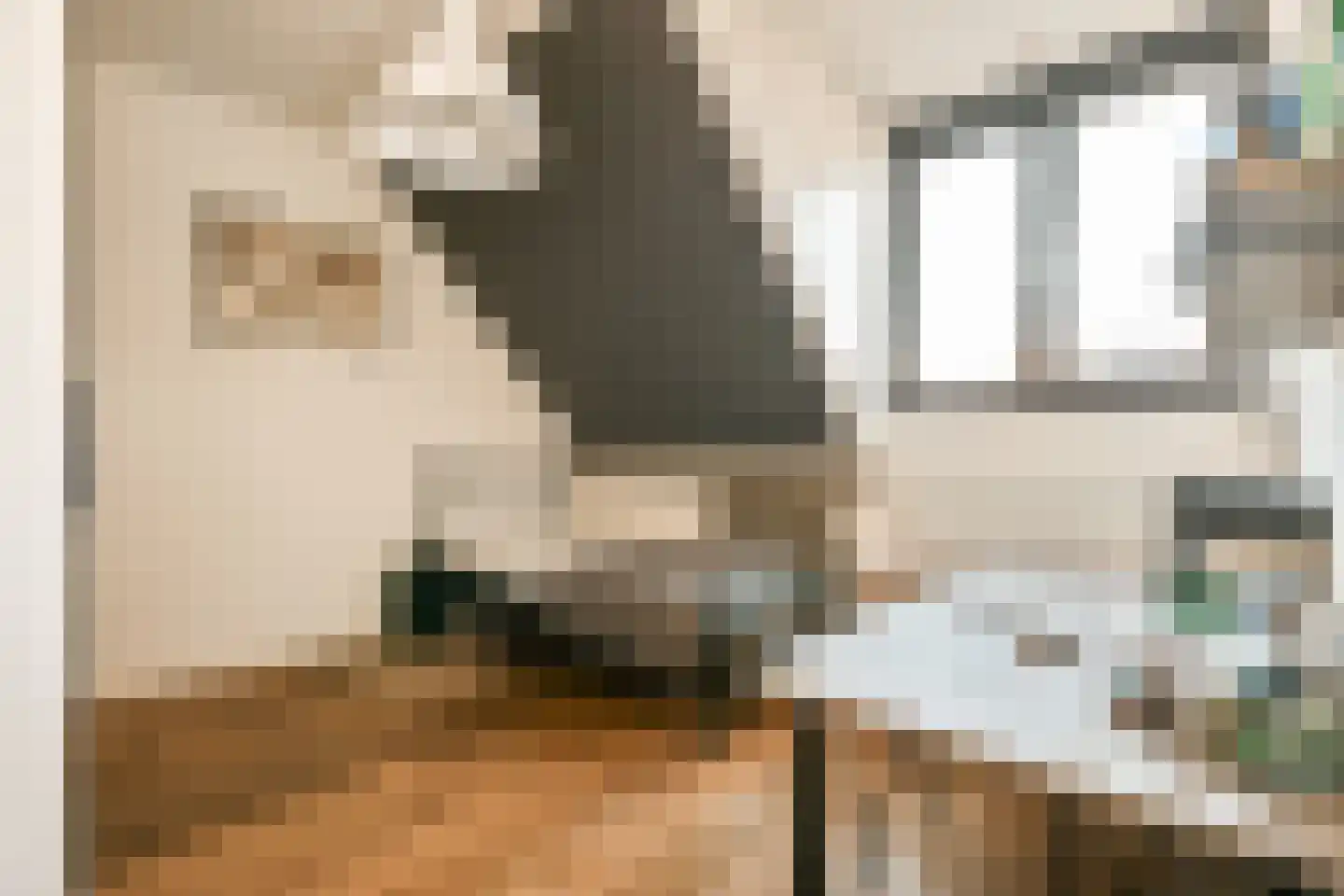 Dagpauwoogstraat 5 Aalsmeer thumbnail 25