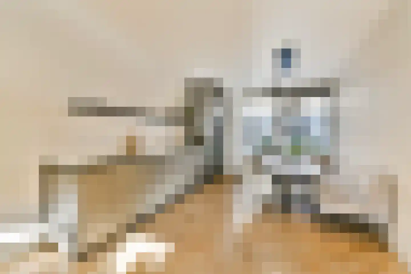 Dagpauwoogstraat 5 Aalsmeer thumbnail 7