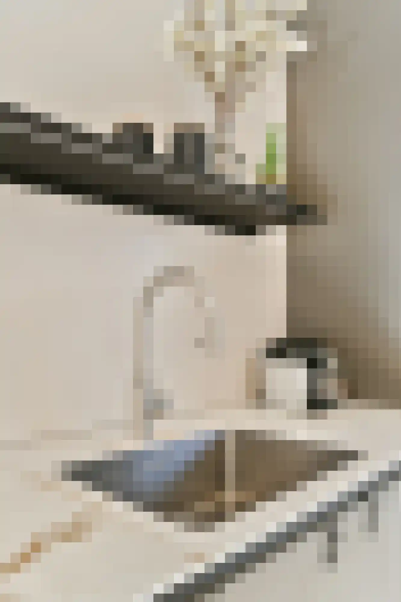 Dagpauwoogstraat 5 Aalsmeer thumbnail 8