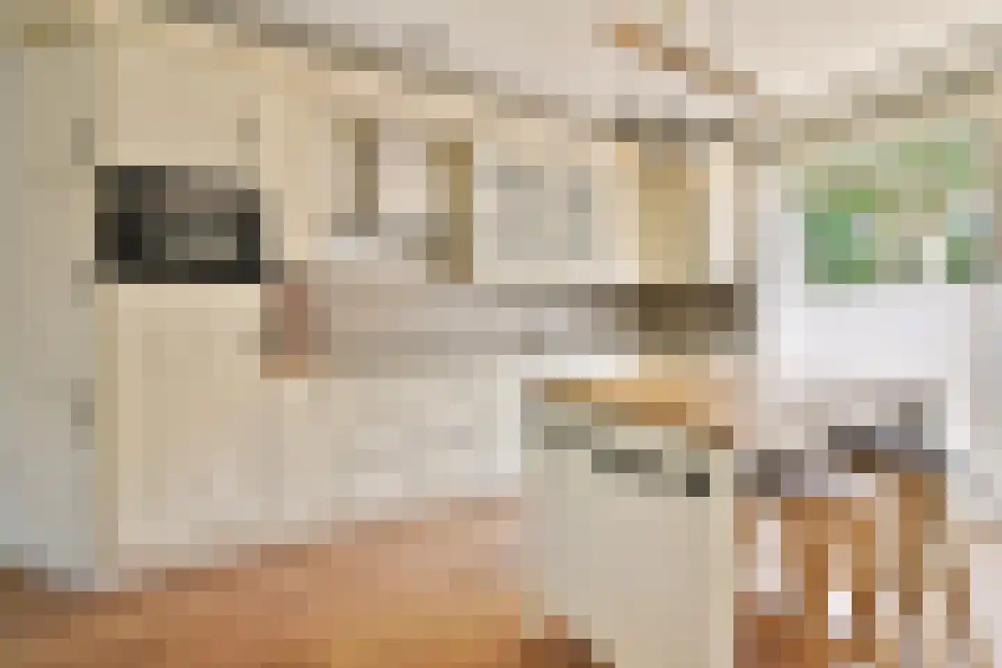 Dagpauwoogstraat 7 Aalsmeer thumbnail 12