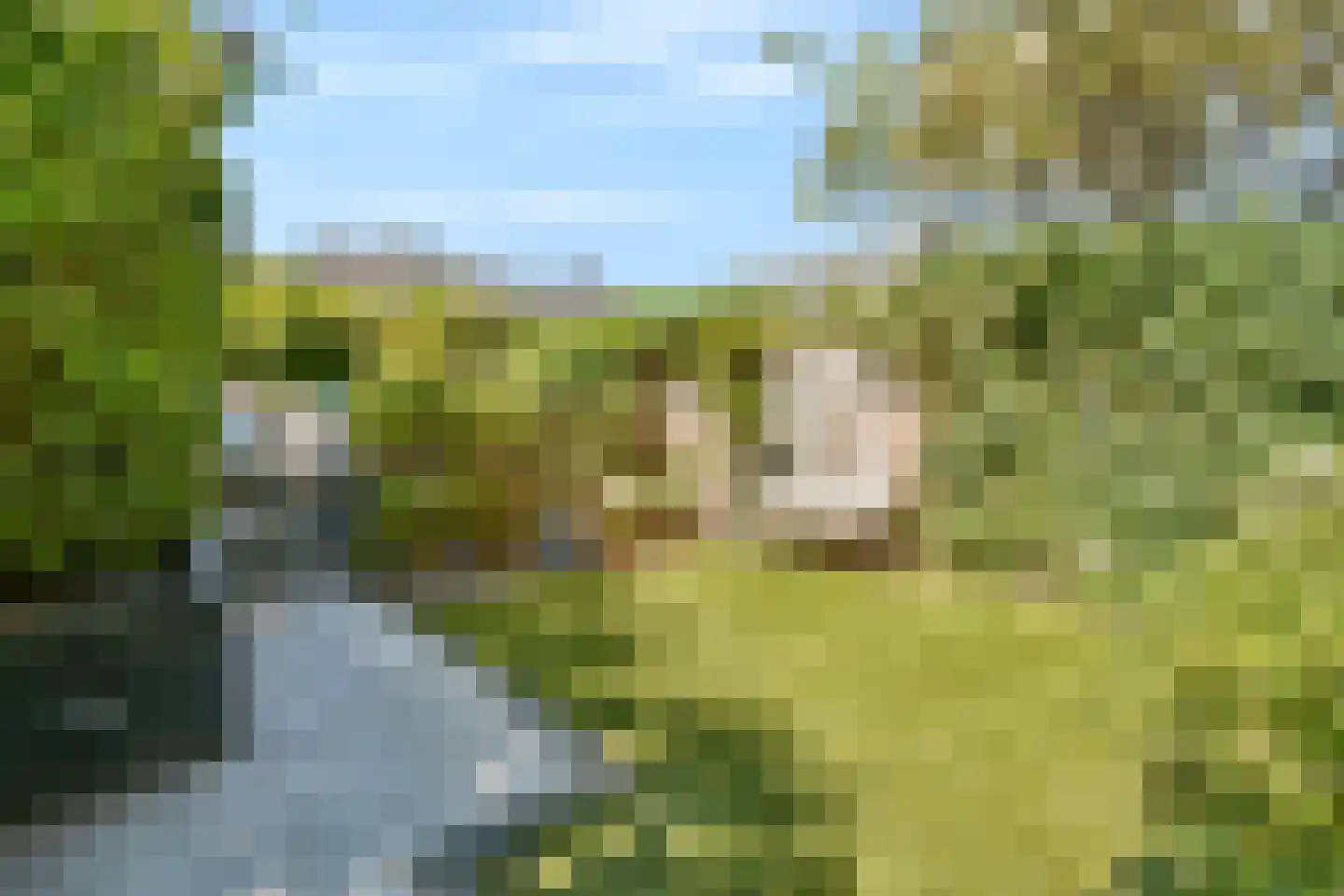 Dagpauwoogstraat 7 Aalsmeer thumbnail 15