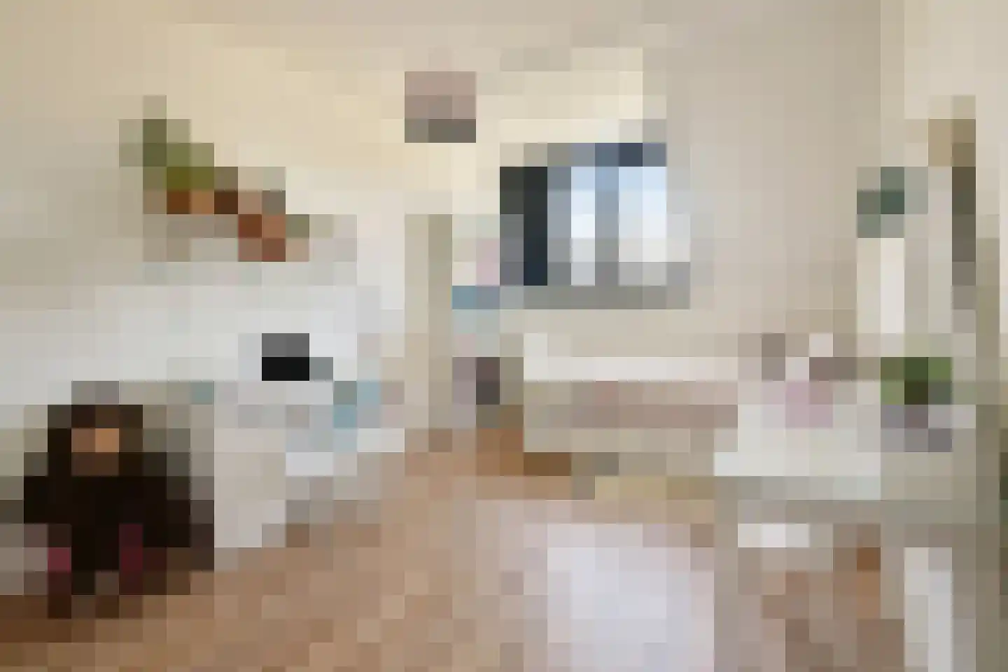 Dagpauwoogstraat 7 Aalsmeer thumbnail 21