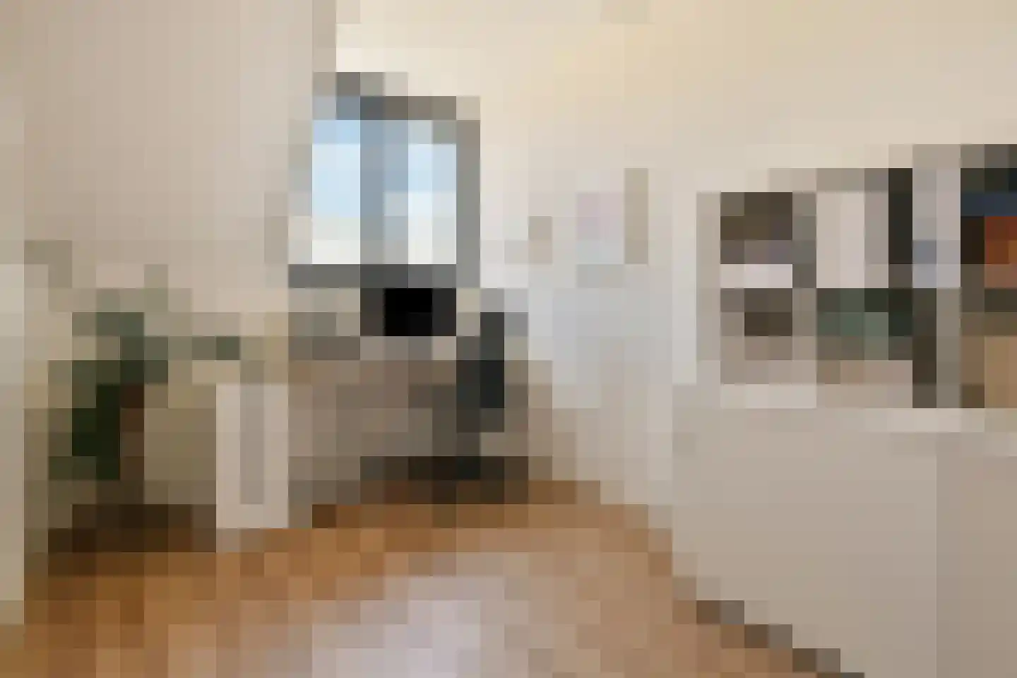 Dagpauwoogstraat 7 Aalsmeer thumbnail 24