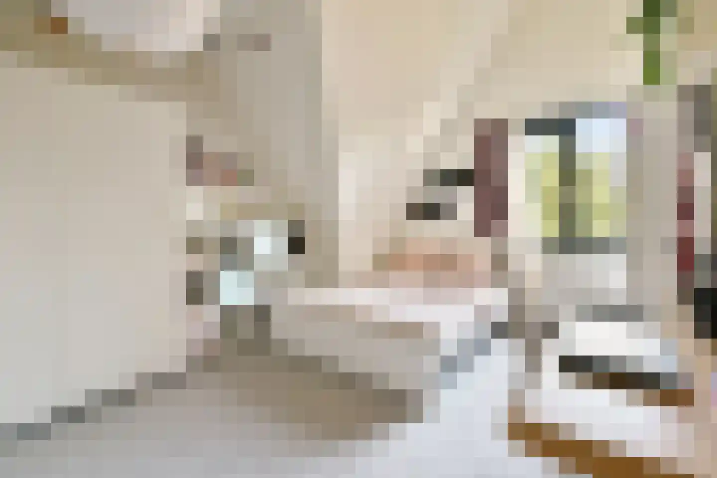 Dagpauwoogstraat 7 Aalsmeer thumbnail 31