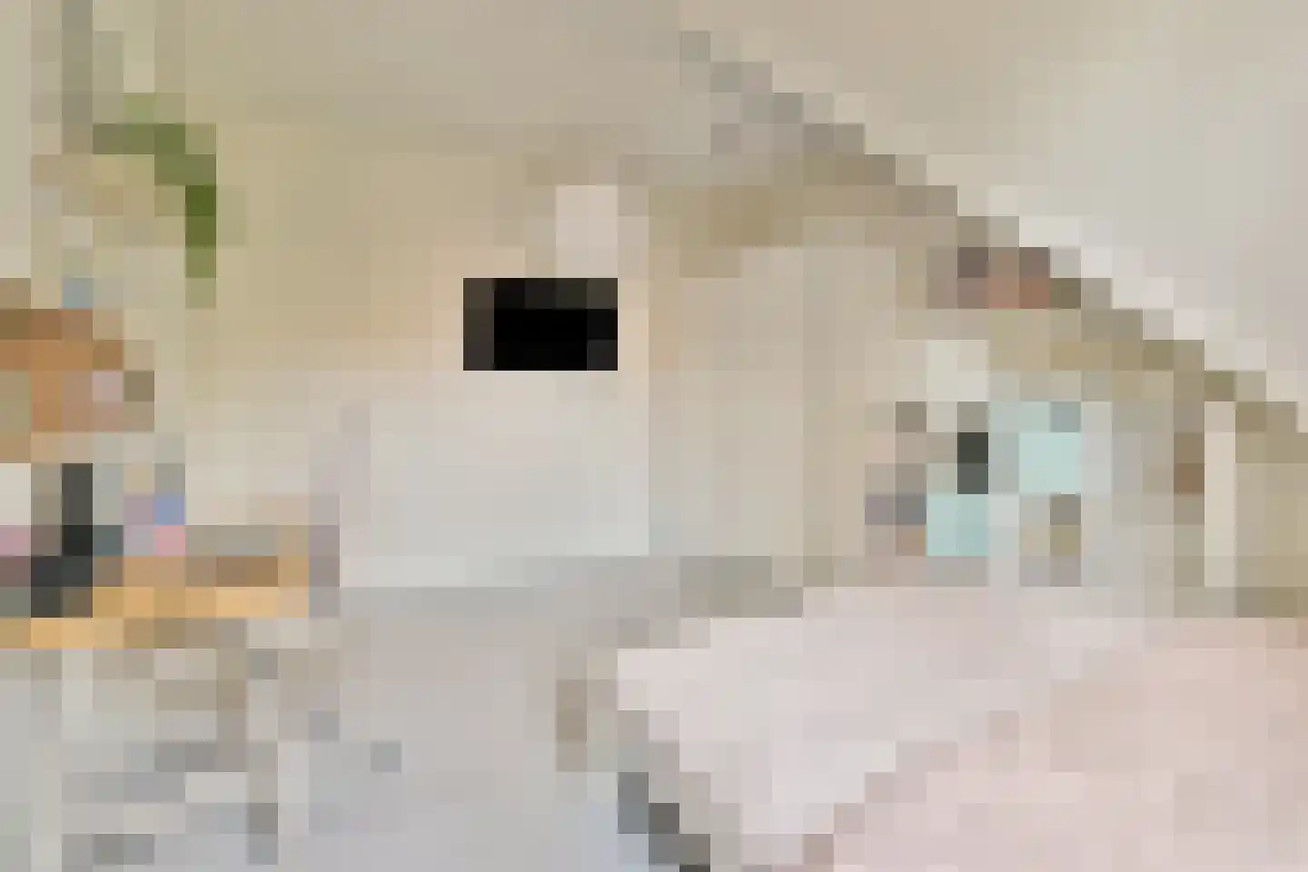 Dagpauwoogstraat 7 Aalsmeer thumbnail 32